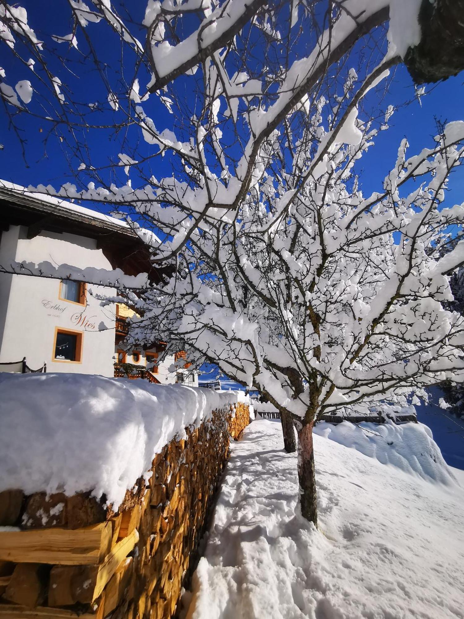 Wieserhof Tirol Oetz Εξωτερικό φωτογραφία